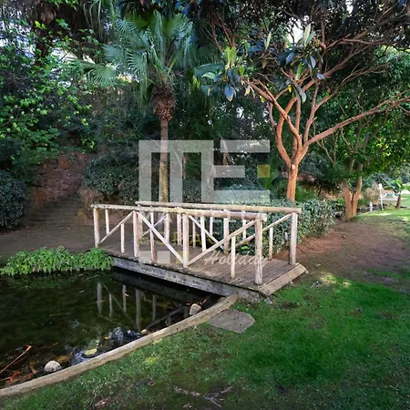 204 Luminoso Apto Centro Junto A La Playa *